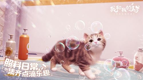 我和我的猫1