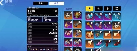 火炬之光无限顶级bd搭配方案有哪些攻略 顶级bd搭配介绍图片9