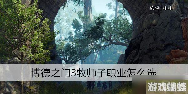 博德之门3牧师子职业怎么选