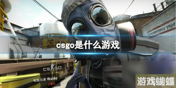 《CSGO》游戏类型详情介绍