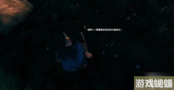 《Valheim: 英灵神殿》种地方法