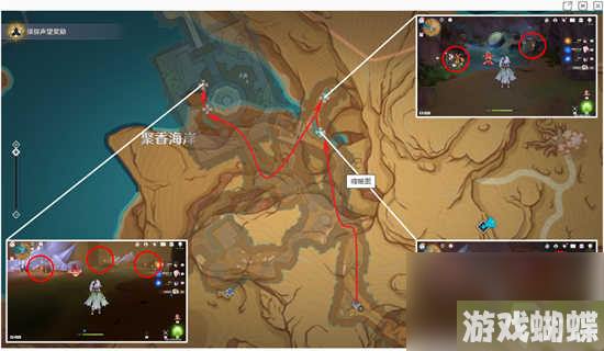 原神3.8悼灵花的采集点在哪里 原神3.8悼灵花的采集路线详情分享