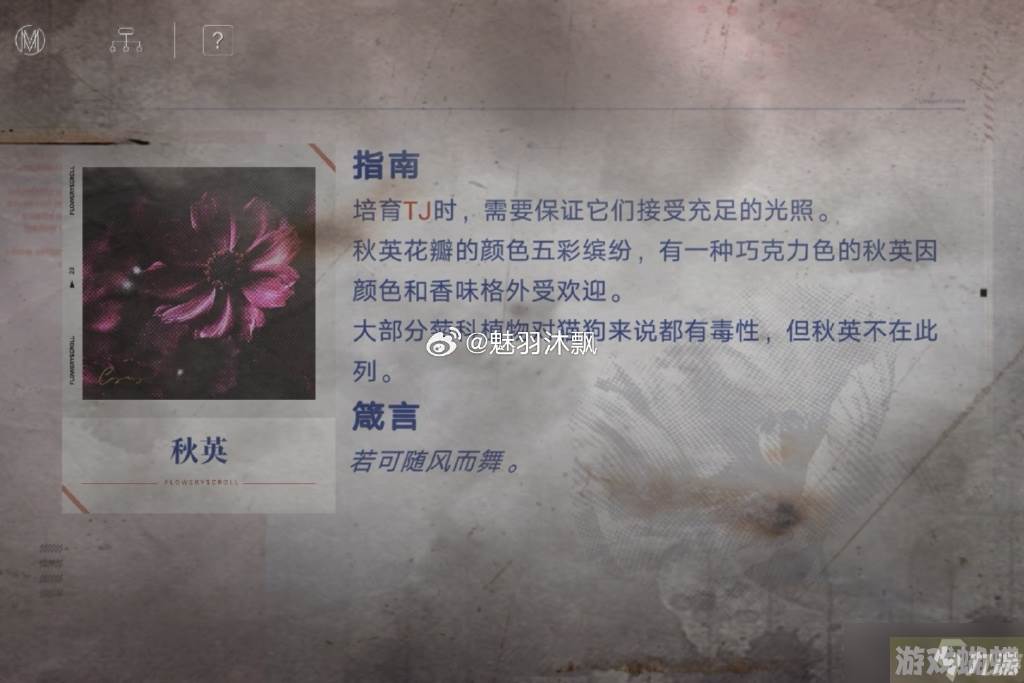 无期迷途花笺解密