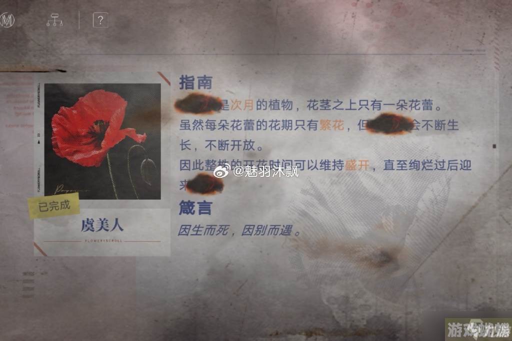 无期迷途花笺解密