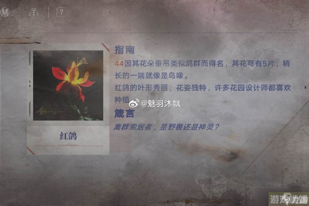 无期迷途花笺解密