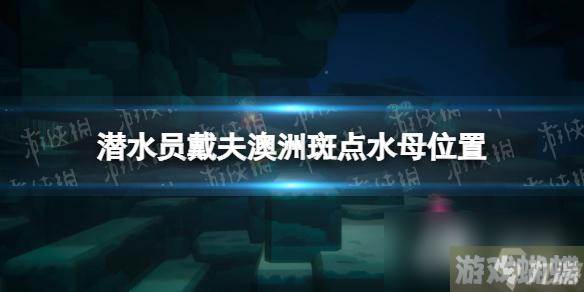 《潜水员戴夫》澳洲斑点水母在哪？ 澳洲斑点水母位置