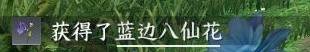 逆水寒手游篮里霓虹探索攻略 篮里霓虹任务怎么做