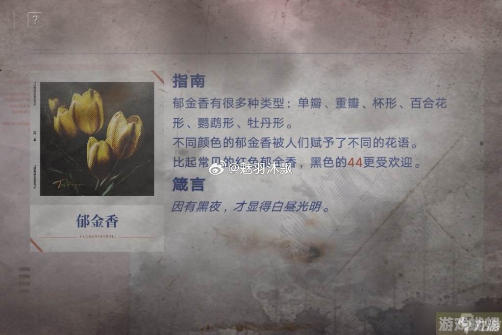 无期迷途花笺解密