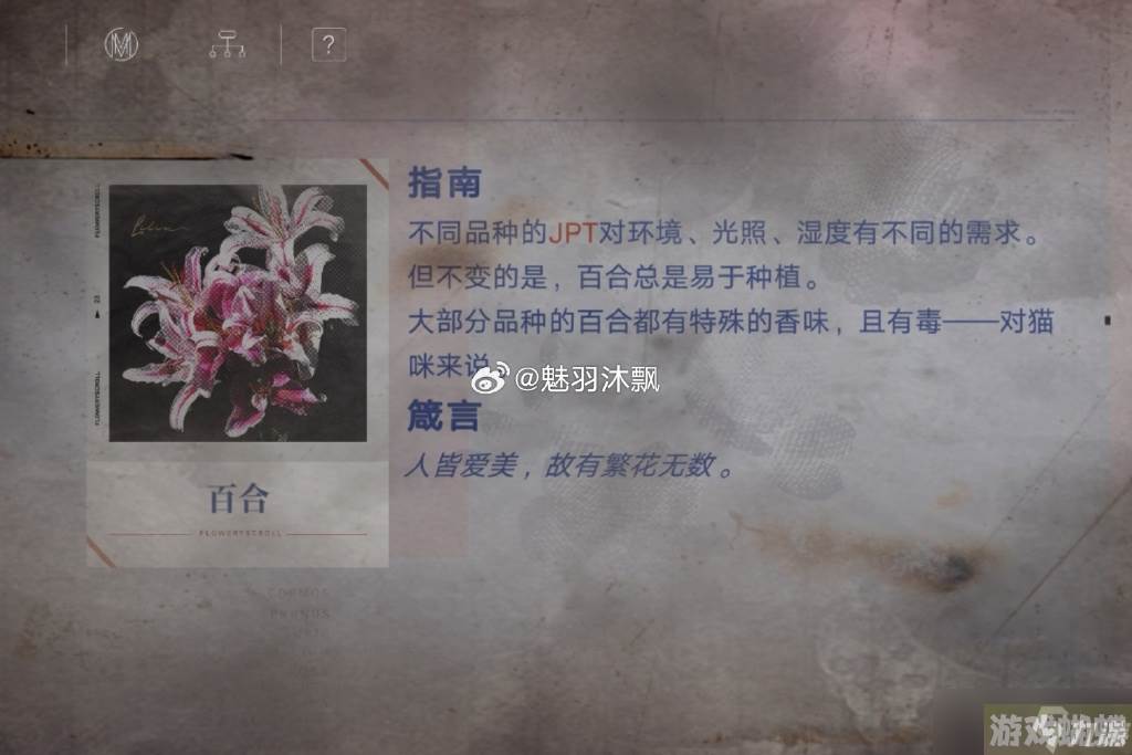 无期迷途花笺解密