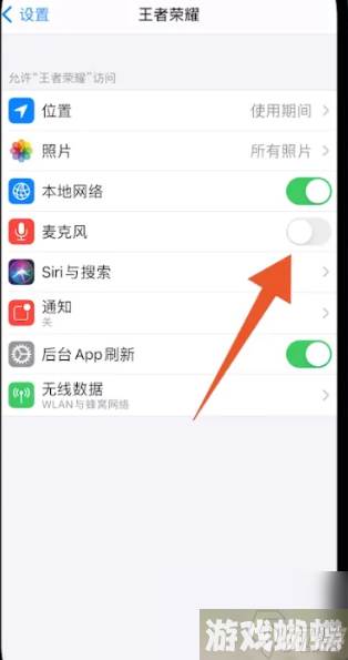 云游戏王者荣耀如何开麦克风权限 云游戏王者荣耀开麦克风权限攻略